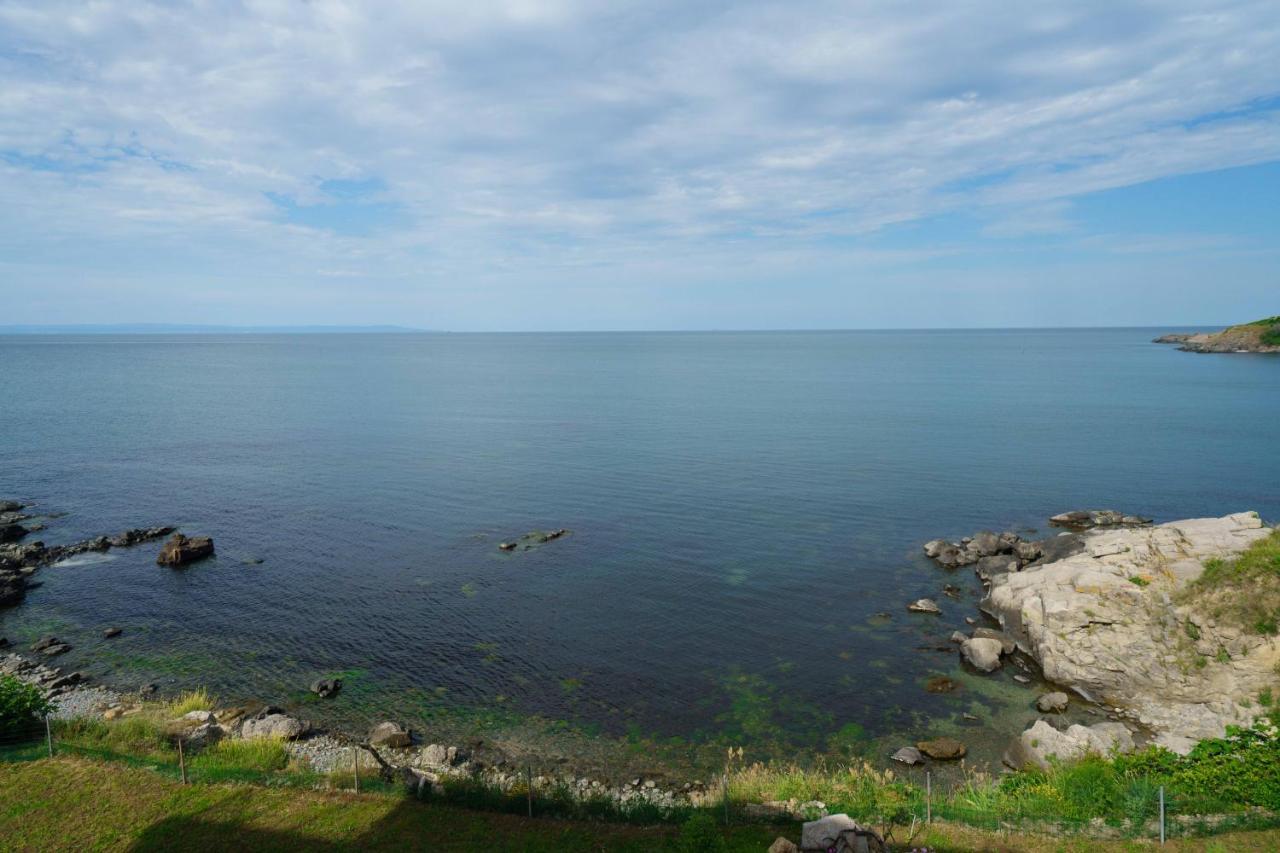 Dolphin Bay Boutique Complex Sozopol Hotel Eksteriør billede